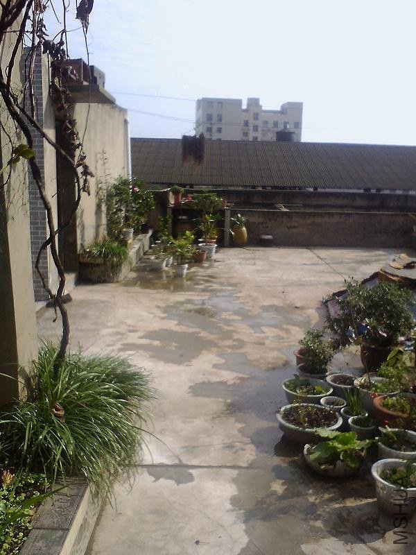 IMG0091A_B.jpg