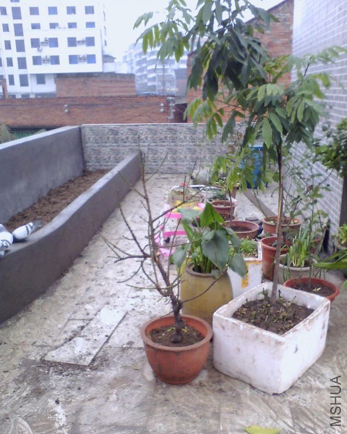 IMG0354A_B.jpg