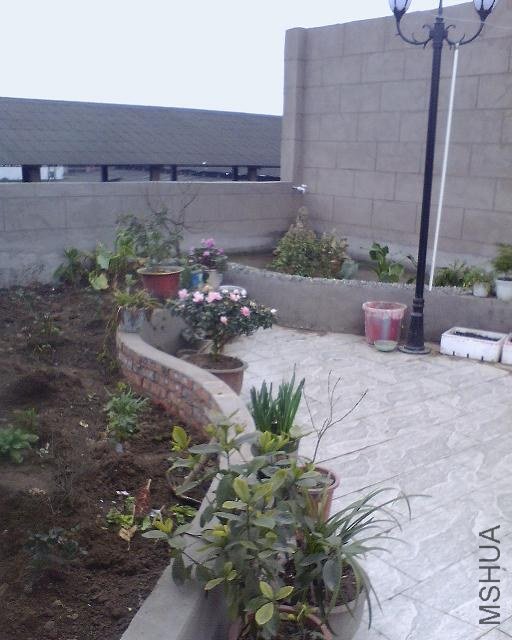 IMG0389A_B.jpg
