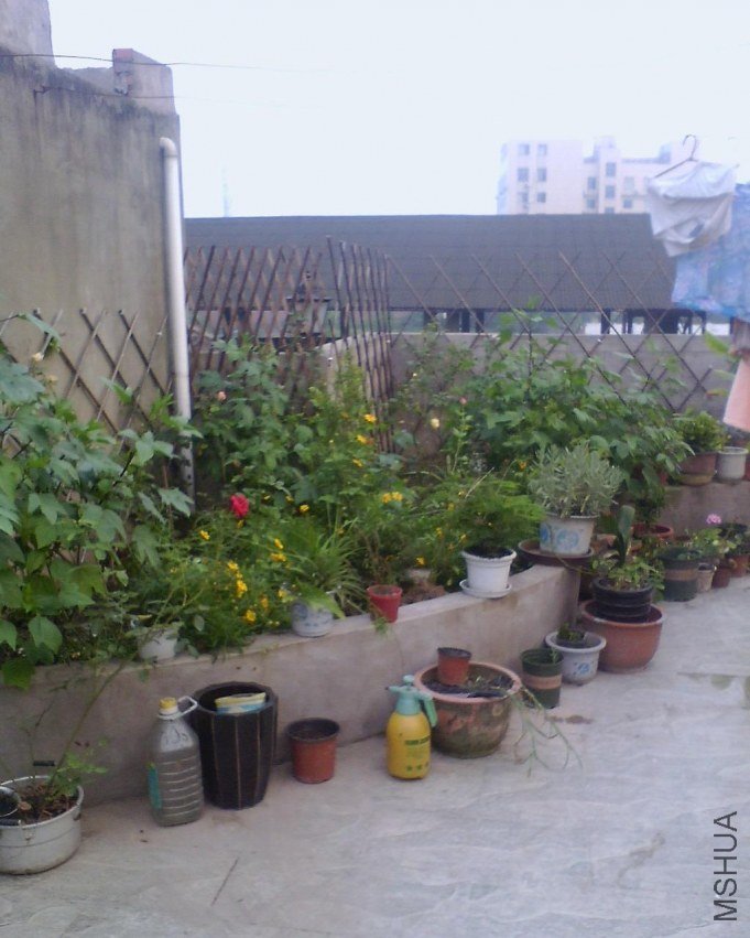 IMG0607A_B.jpg