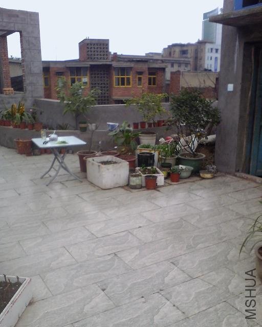 IMG0392A_B.jpg
