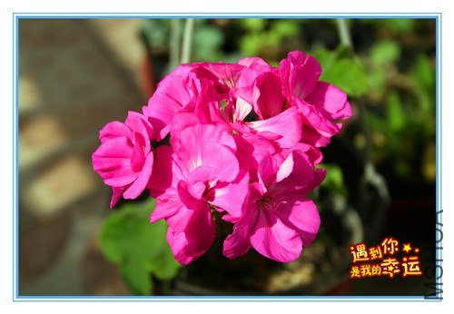 ��Ƭ 011_����2.jpg