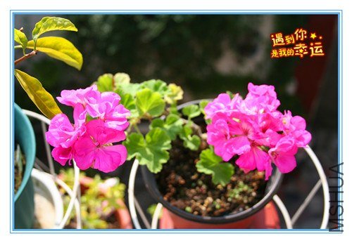 ��Ƭ 011_����3.jpg