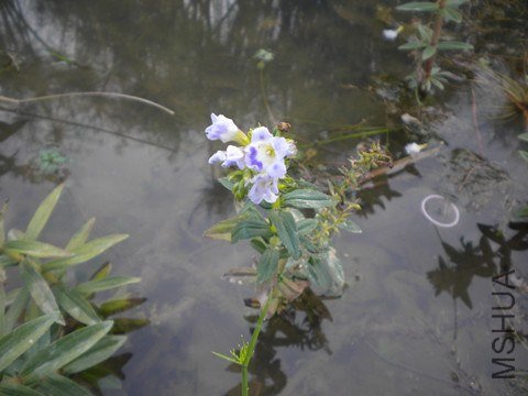 ��Ƭ 051_����.jpg