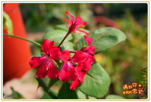 ��Ƭ 056_����.jpg