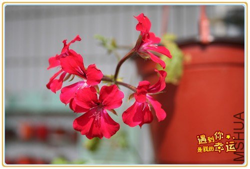 ��Ƭ 058_����.jpg