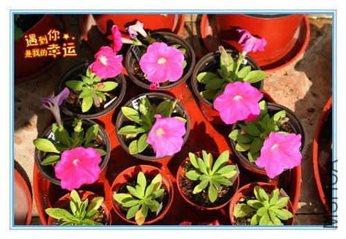 ��Ƭ 071_����.jpg