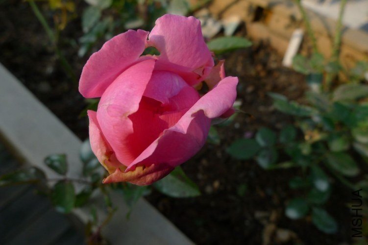P1070315.JPG