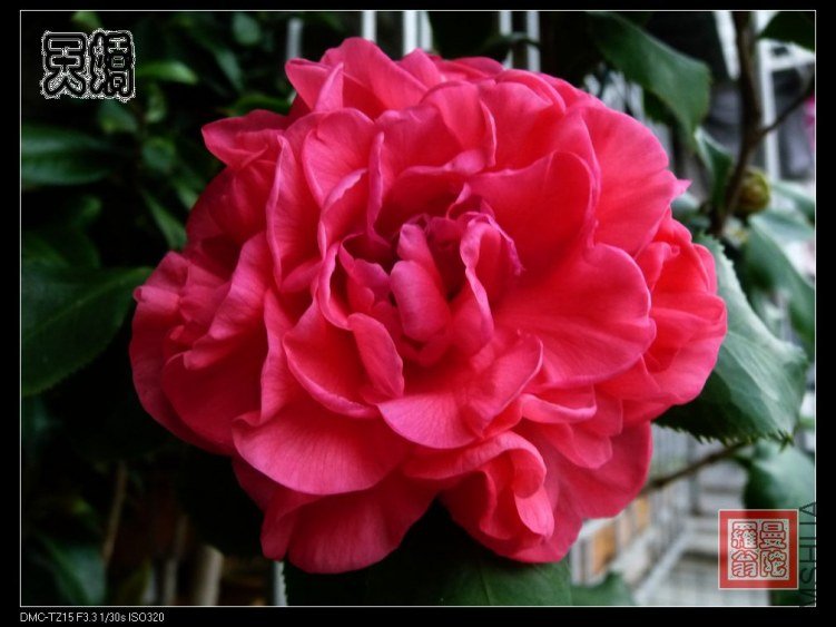 2012�콿000a.jpg