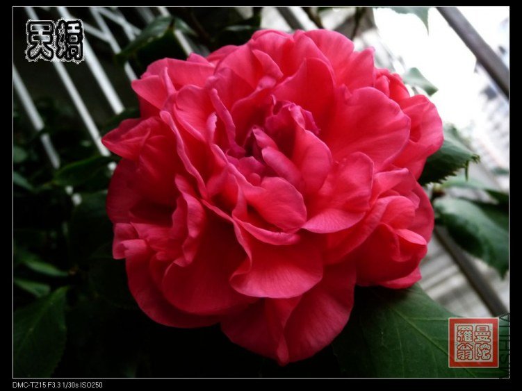 2012�콿000b.jpg