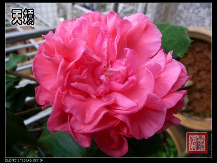 2012�콿00a.jpg