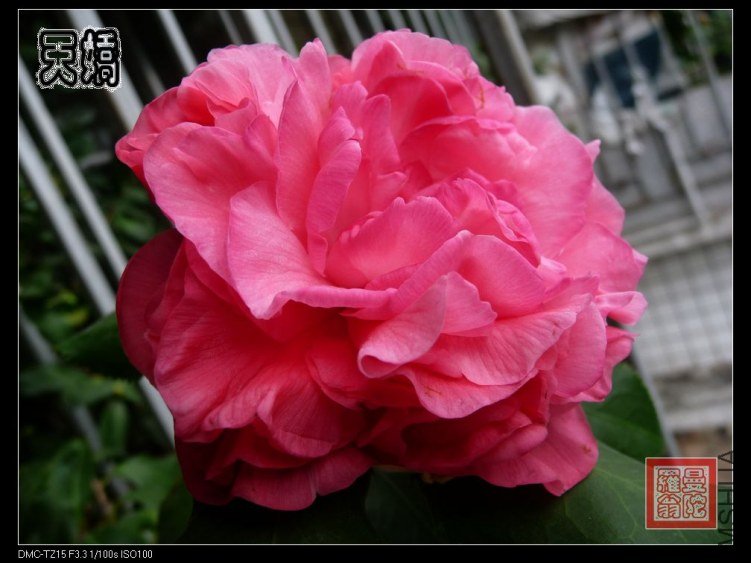 2012�콿00b.jpg