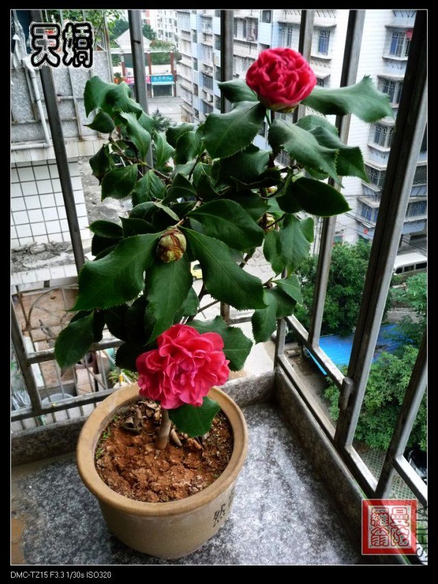 2012�콿0aa.jpg