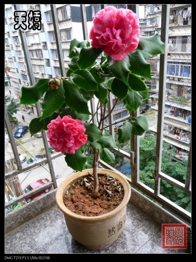 2012�콿0aaa.jpg