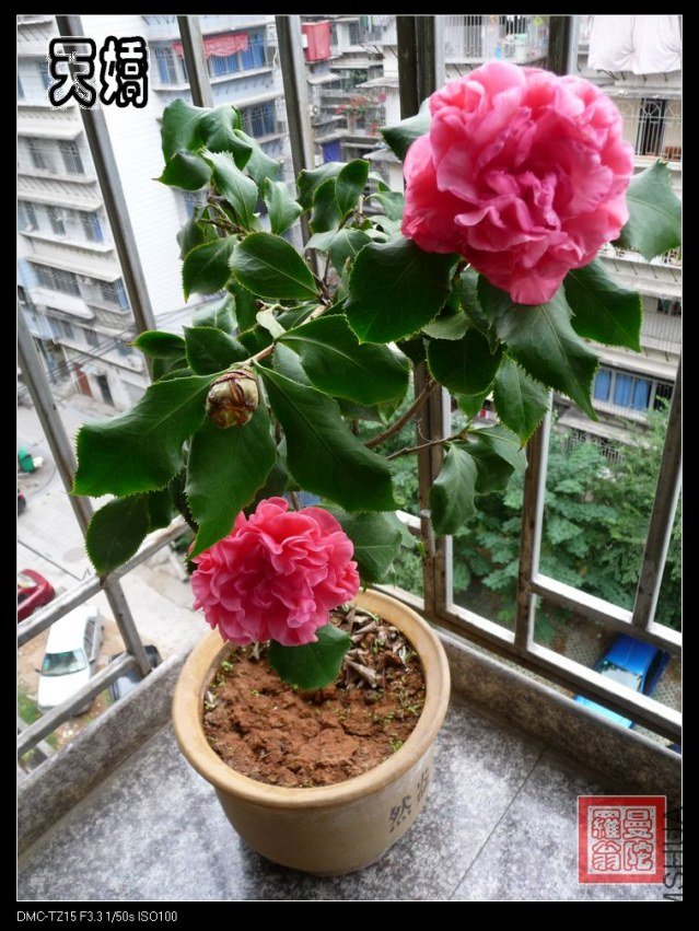 2012�콿0b.jpg