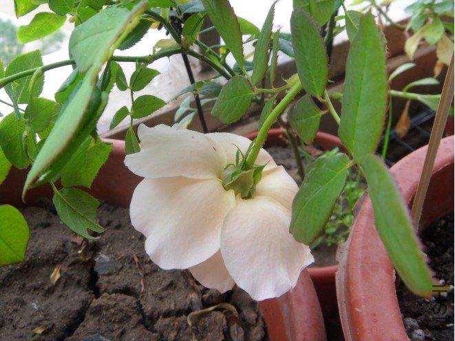 QQ��ͼ20121117145200.jpg