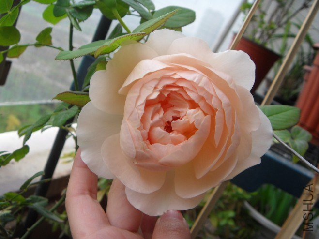 QQ��ͼ20121117145218.jpg