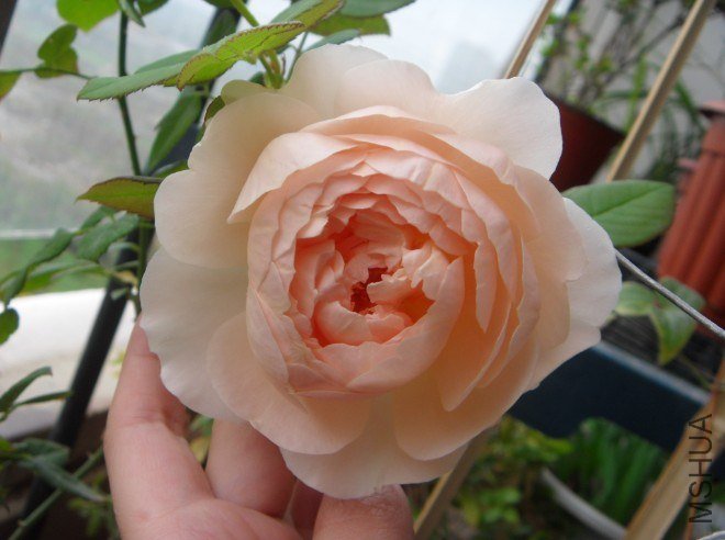 QQ��ͼ20121117145228.jpg