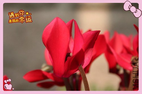 ��Ƭ 011_����.jpg