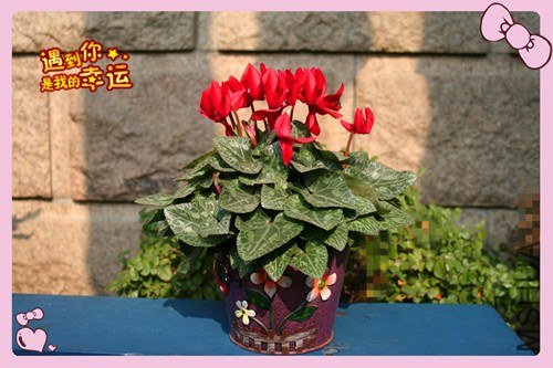 ��Ƭ 006_����.jpg