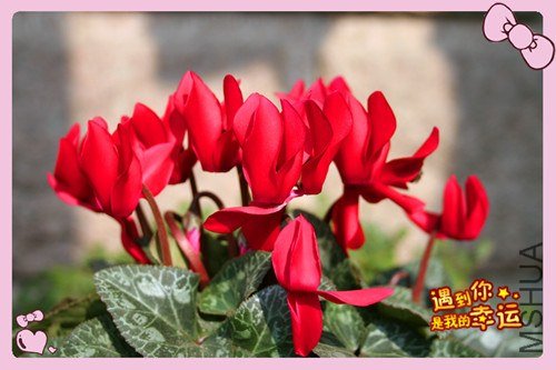 ��Ƭ 009_����.jpg