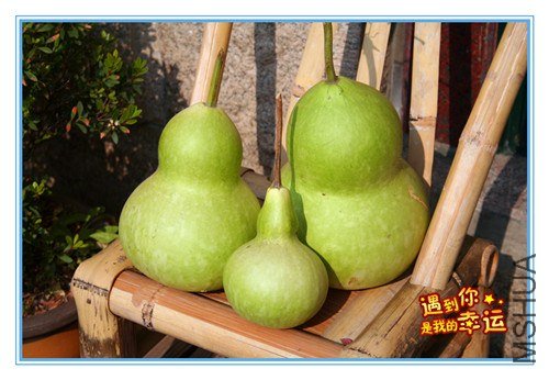 ��Ƭ 022_����.jpg