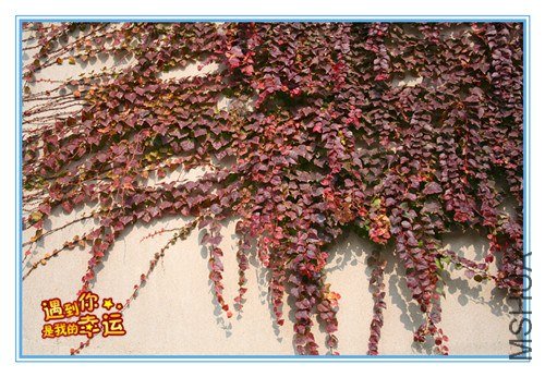 ��Ƭ 027_����.jpg