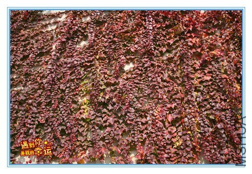 ��Ƭ 030_����.jpg