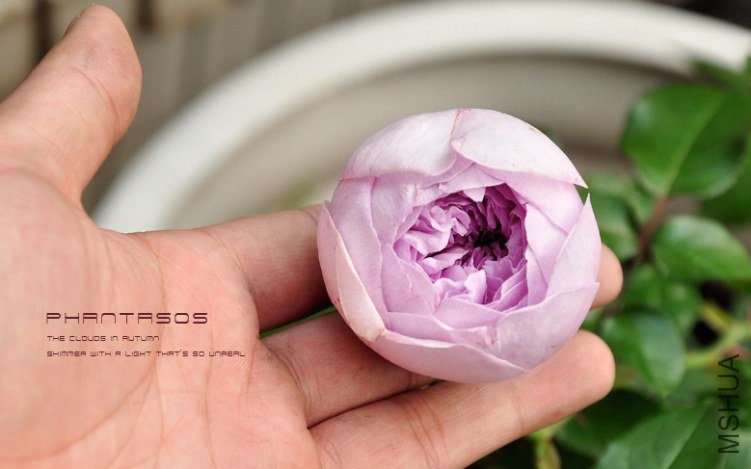 The clouds in AUTUMN.jpg