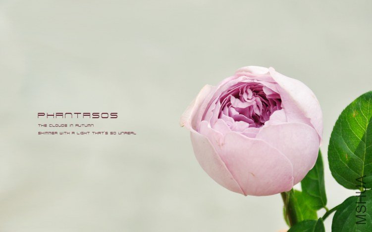 The clouds in AUTUMN1.jpg