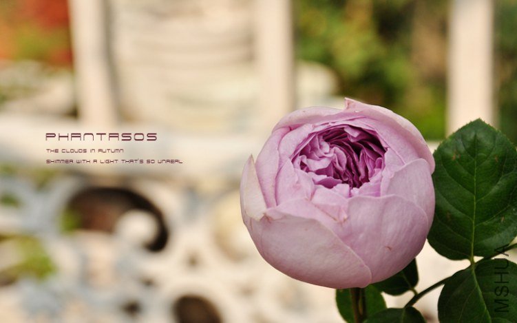 The clouds in AUTUMN2.jpg