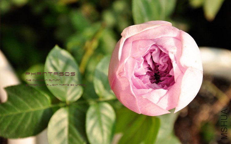 The clouds in AUTUMN3.jpg