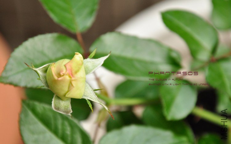 The clouds in AUTUMN6.jpg