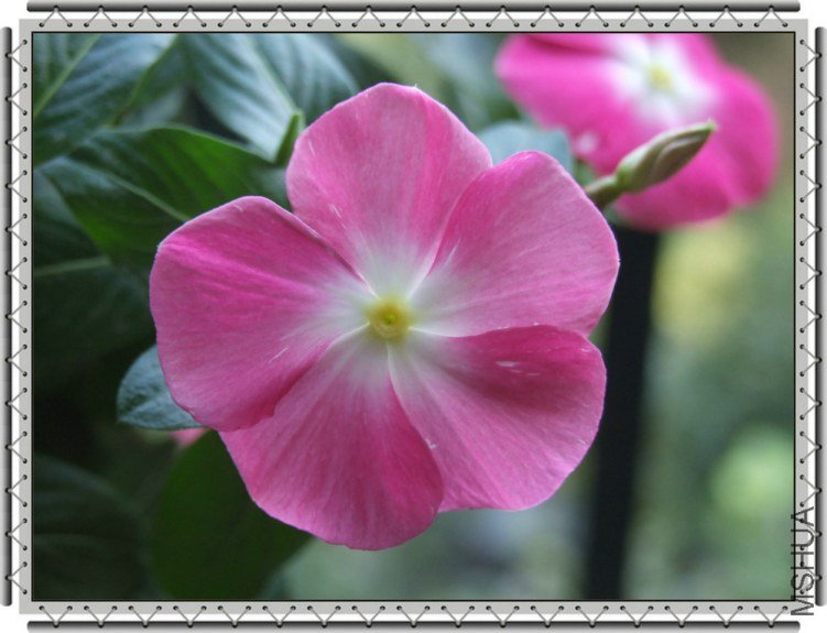 DSCF9865_����.JPG