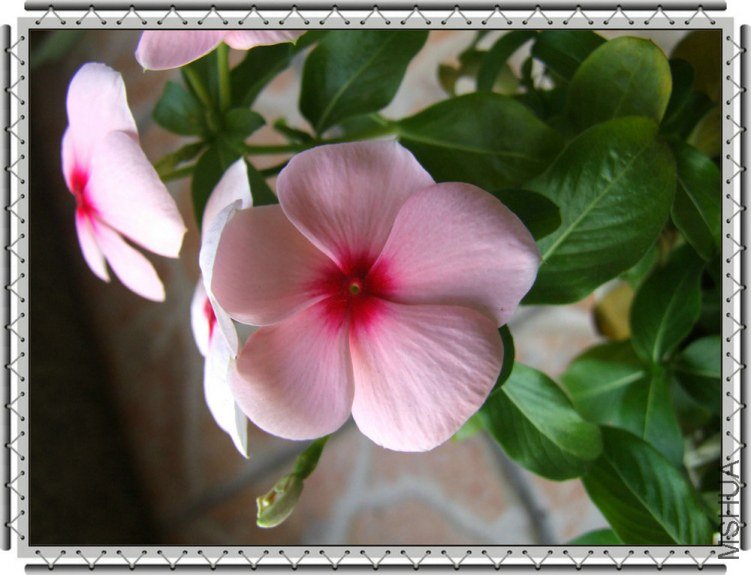 DSCF9895_����.JPG