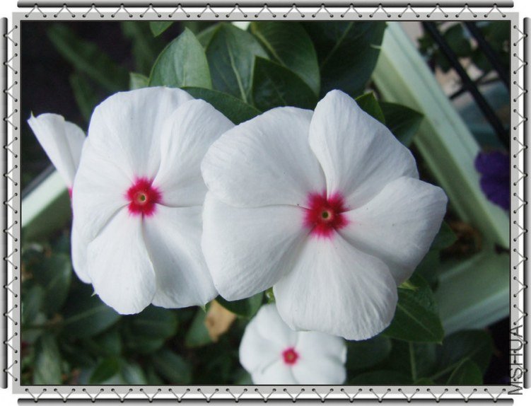 DSCF9882_����.JPG