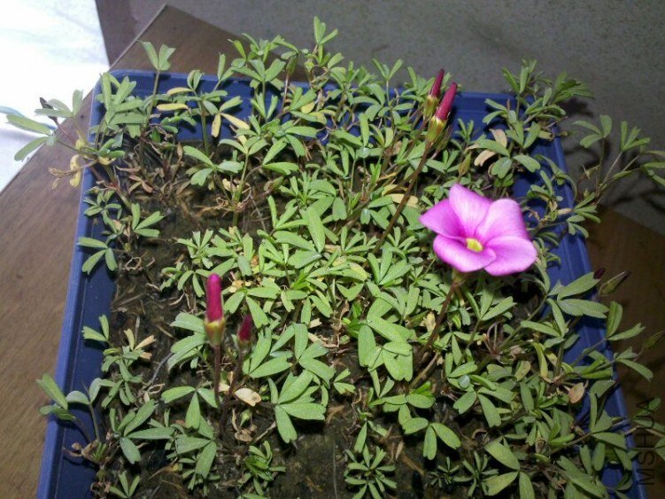 C360_2012-11-18-10-30-37-1.jpg