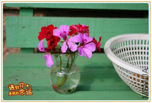 ��Ƭ 080_����.jpg