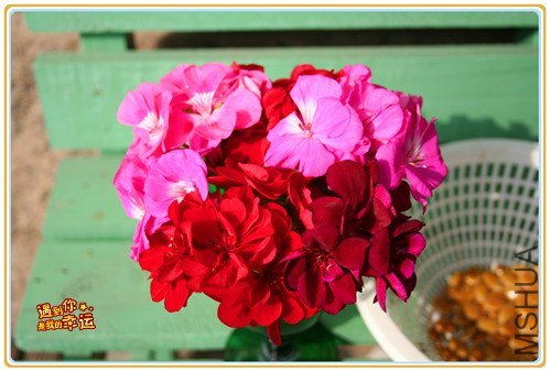 ��Ƭ 077_����.jpg