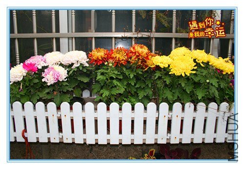 ��Ƭ 079_����.jpg