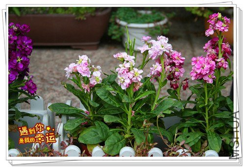 ��Ƭ 106_����.jpg