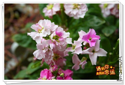 ��Ƭ 108_����.jpg