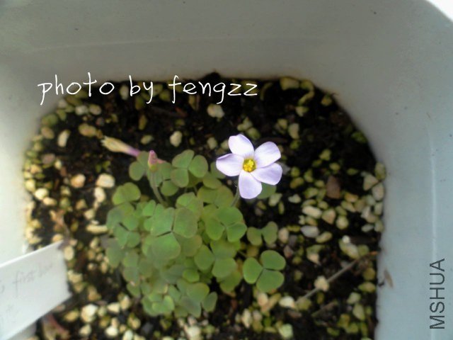 �����˵ĳ���