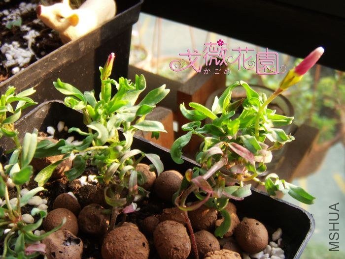 ����Ҳ�ܺã��л�����