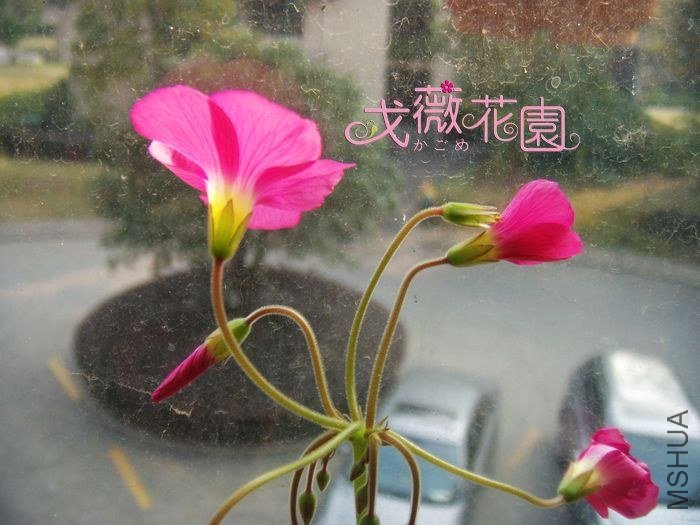 ���翪���Ĵ����״̬���ã�