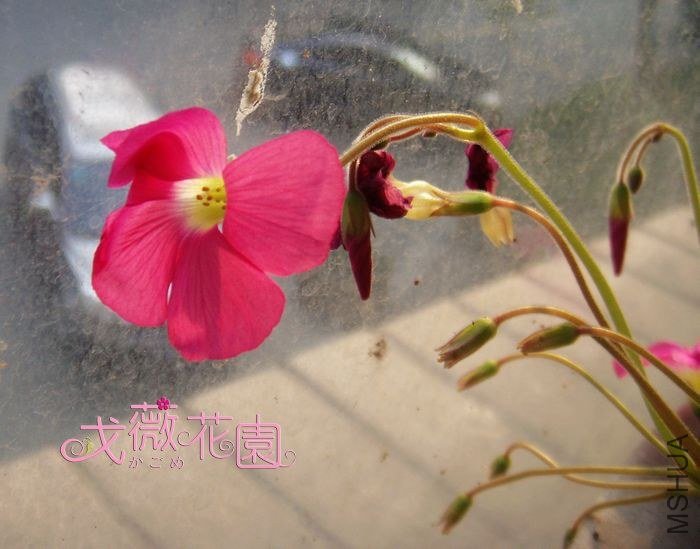 �������Ų��������Ĳ����죡