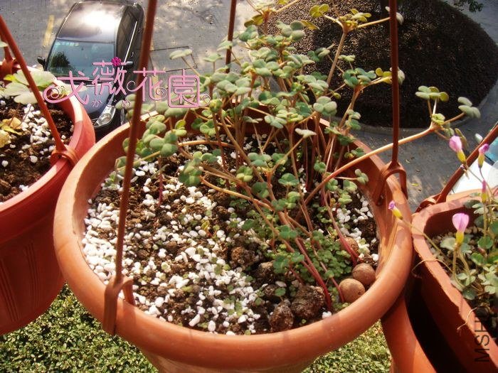 ���⣬֥����󱬷���