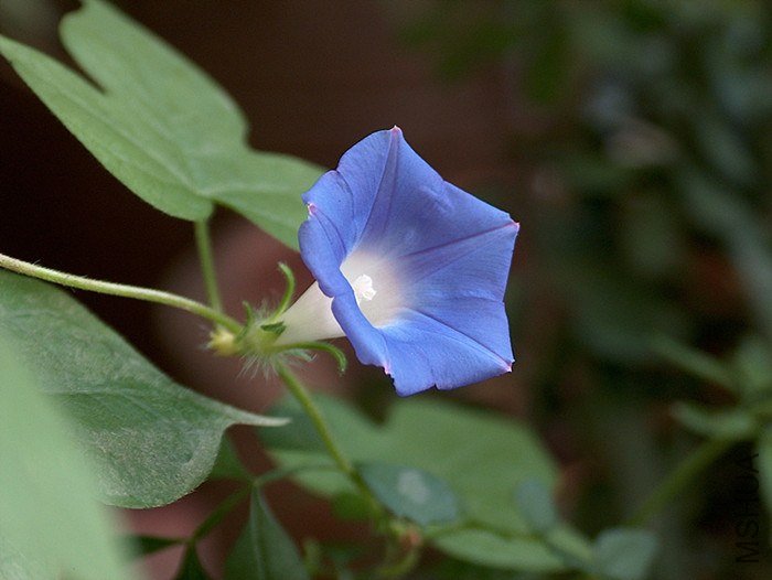 800.jpg