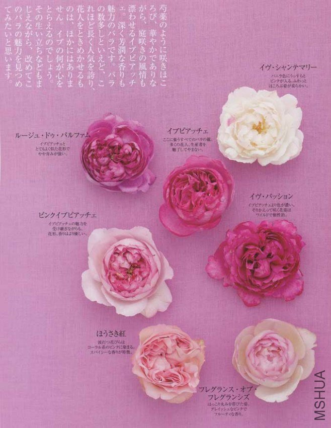 �ձ�����ʱ�䡷