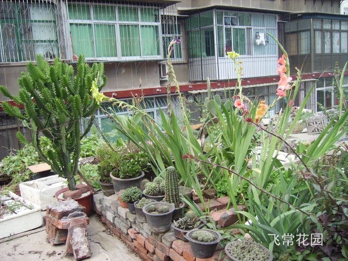 pict2246.jpg